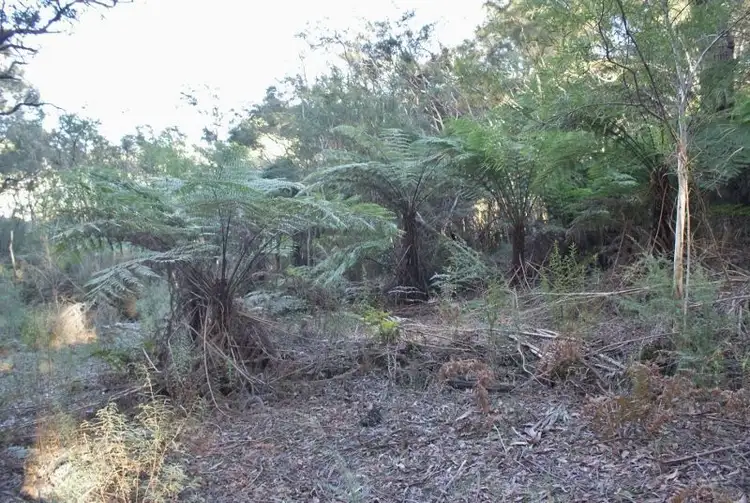 Fourth view of Homely land listing, Crown Allotment G Maidentown Track, Walhalla VIC 3825