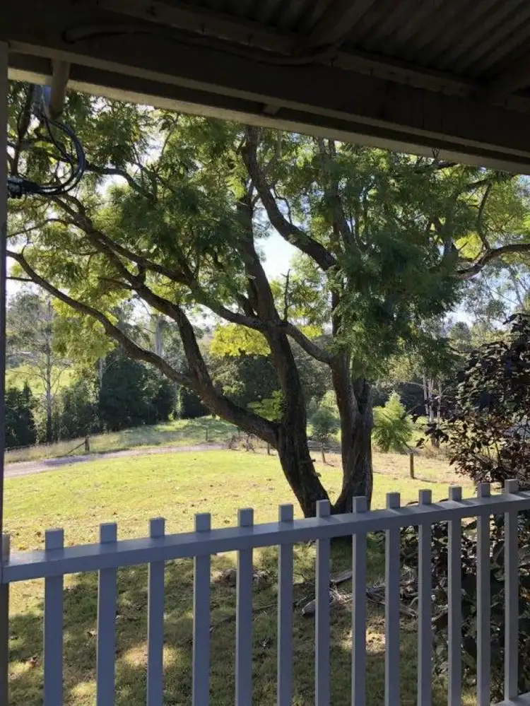 Main view of Homely rural property listing, 883 Lower Buckra Bendinni Rd, Buckra Bendinni NSW 2449