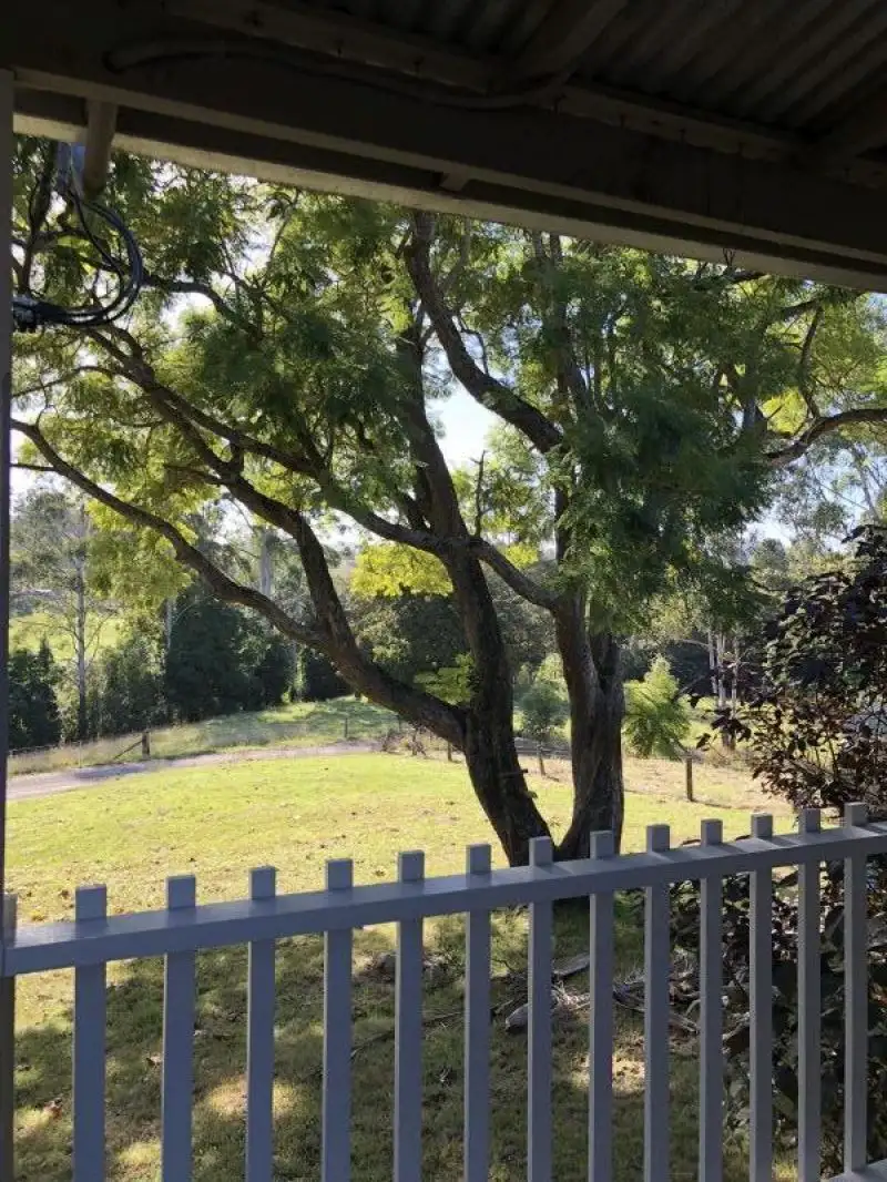 Main view of Homely rural property listing, 883 Lower Buckra Bendinni Rd, Buckra Bendinni NSW 2449