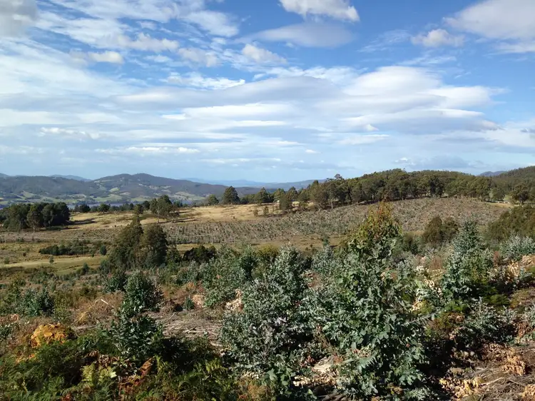 Main view of Homely land listing, Lot 1 Harwoods Road, Castle Forbes Bay TAS 7116