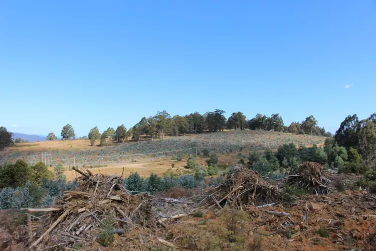 Fourth view of Homely land listing, Lot 1 Harwoods Road, Castle Forbes Bay TAS 7116