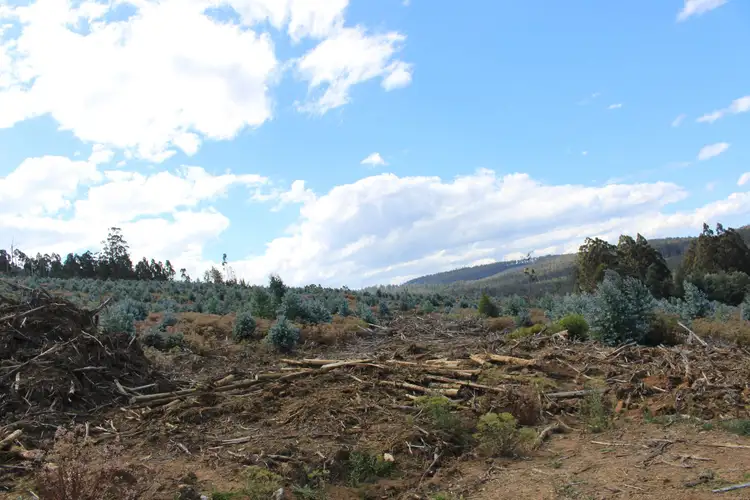 Fifth view of Homely land listing, Lot 1 Harwoods Road, Castle Forbes Bay TAS 7116