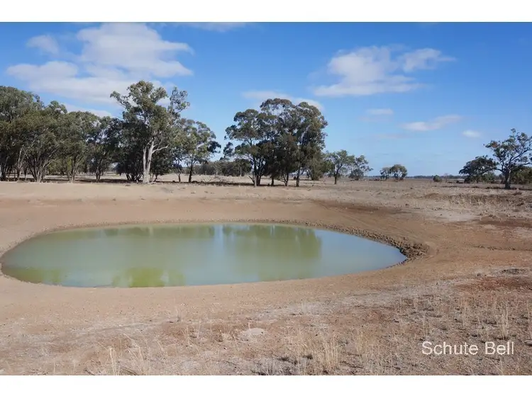Main view of Homely rural property listing, Kirk Raeburn Lane, Narromine NSW 2821