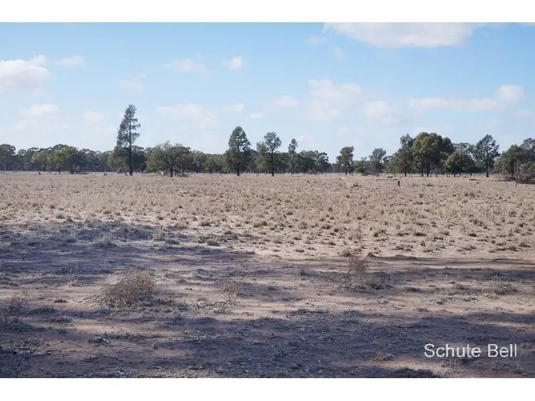 Second view of Homely rural property listing, Kirk Raeburn Lane, Narromine NSW 2821