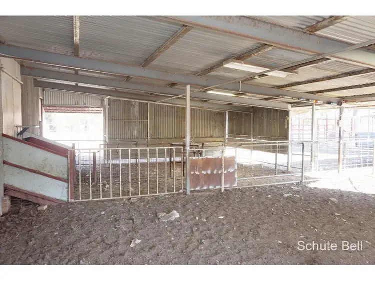 Fifth view of Homely rural property listing, Kirk Raeburn Lane, Narromine NSW 2821