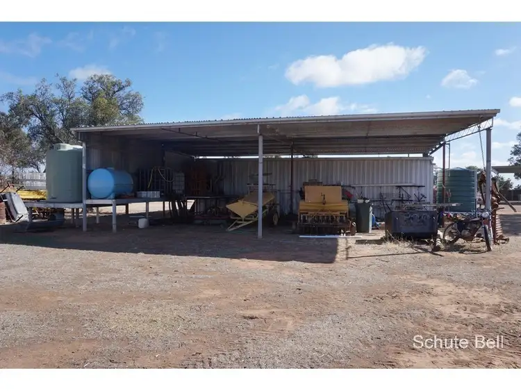 Seventh view of Homely rural property listing, Kirk Raeburn Lane, Narromine NSW 2821