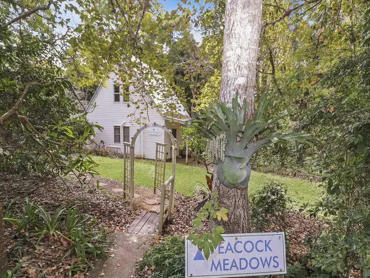 Main view of Homely house listing, 947 Maleny - Montville Rd, Balmoral Ridge QLD 4552