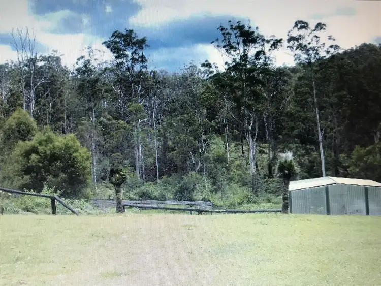 Third view of Homely rural property listing, 354 Hut Road, Wittitrin NSW 2440