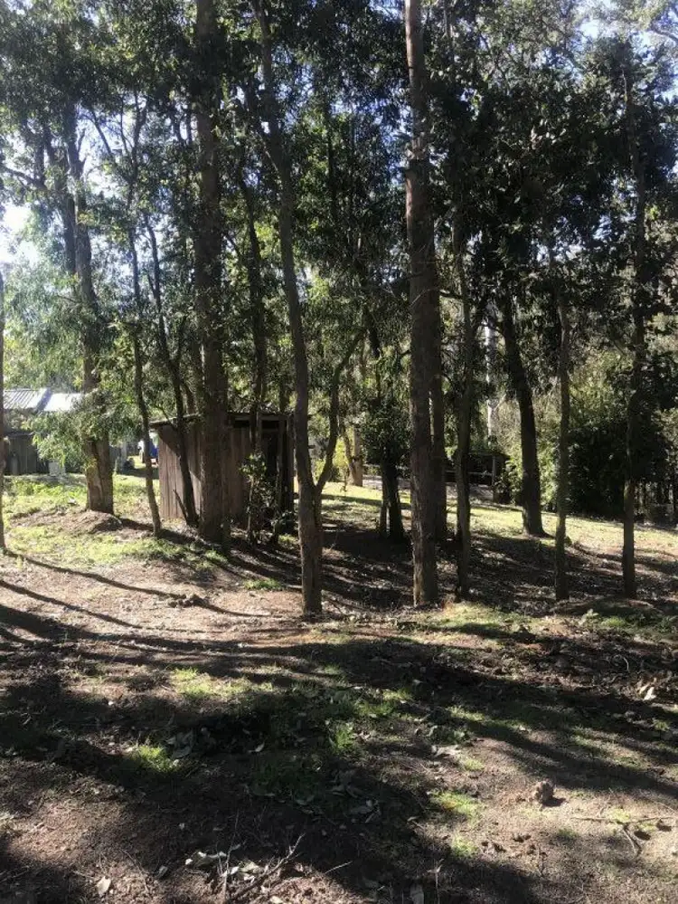 Seventh view of Homely rural property listing, 354 Hut Road, Wittitrin NSW 2440