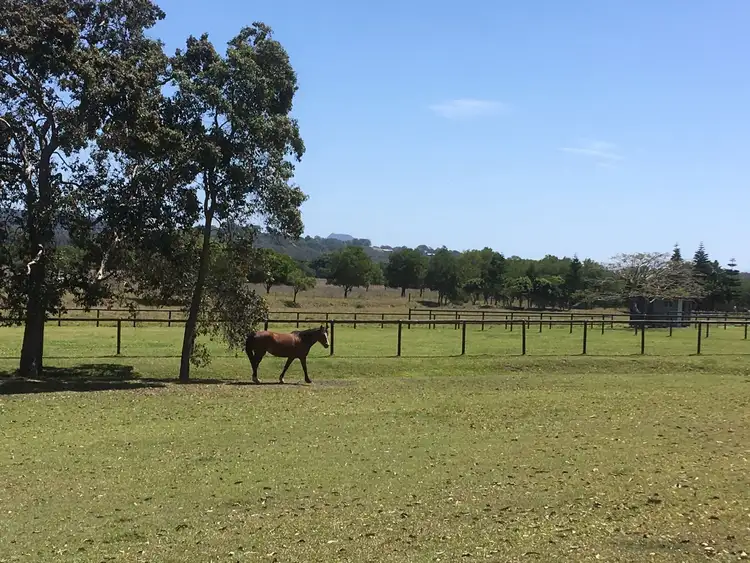 179 Toolborough Rd, Yandina Creek QLD 4561
