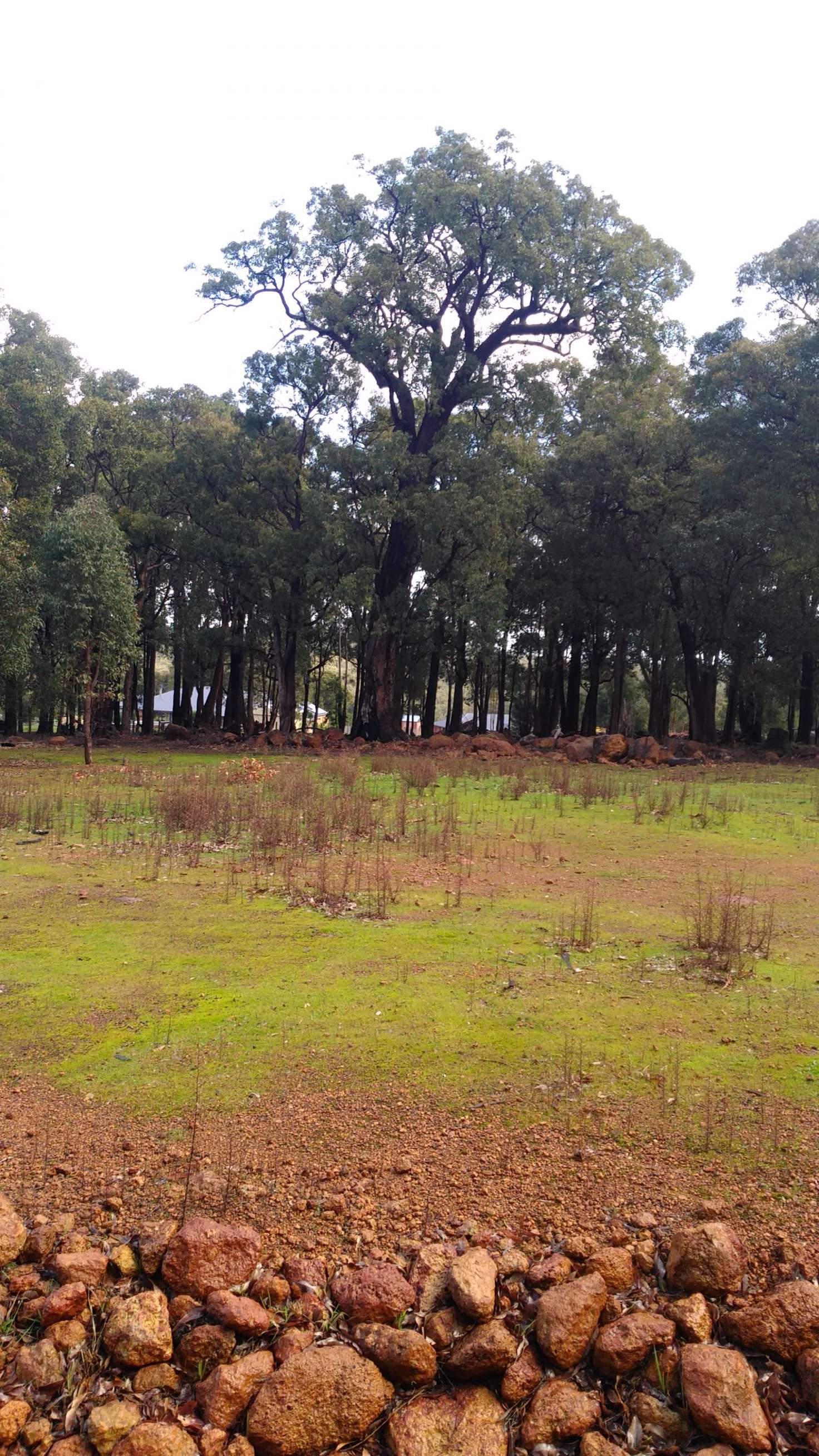 Main view of Homely land listing, Lot 126 Kunzea Rise, Jarrahdale WA 6124