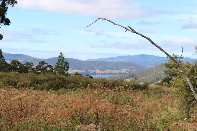 Main view of Homely land listing, Lot 1 Harwoods Road, Castle Forbes Bay TAS 7116