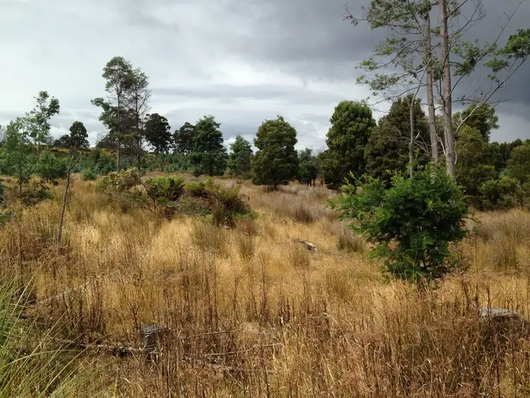 Second view of Homely land listing, Lot 1 Harwoods Road, Castle Forbes Bay TAS 7116