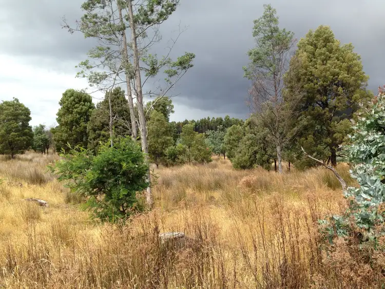 Third view of Homely land listing, Lot 1 Harwoods Road, Castle Forbes Bay TAS 7116