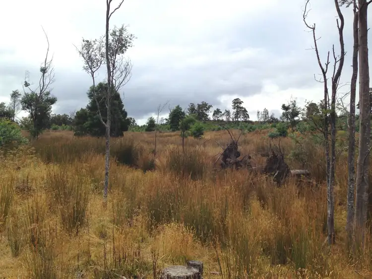 Fourth view of Homely land listing, Lot 1 Harwoods Road, Castle Forbes Bay TAS 7116