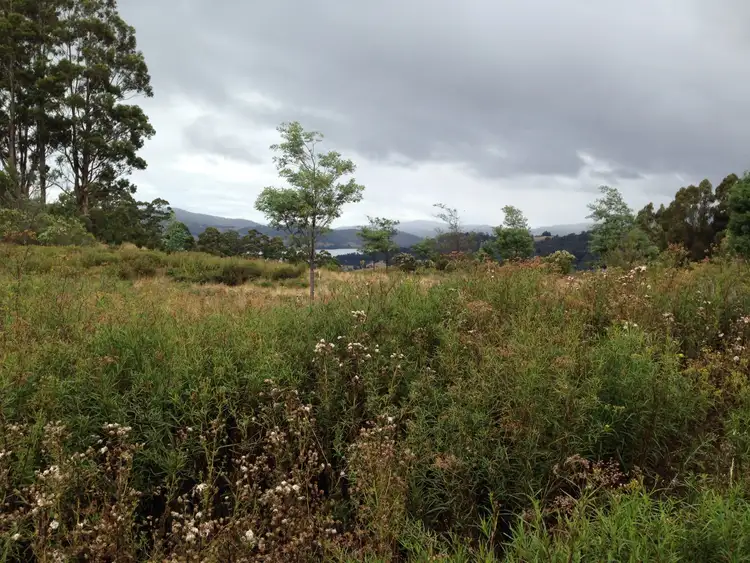 Fifth view of Homely land listing, Lot 1 Harwoods Road, Castle Forbes Bay TAS 7116