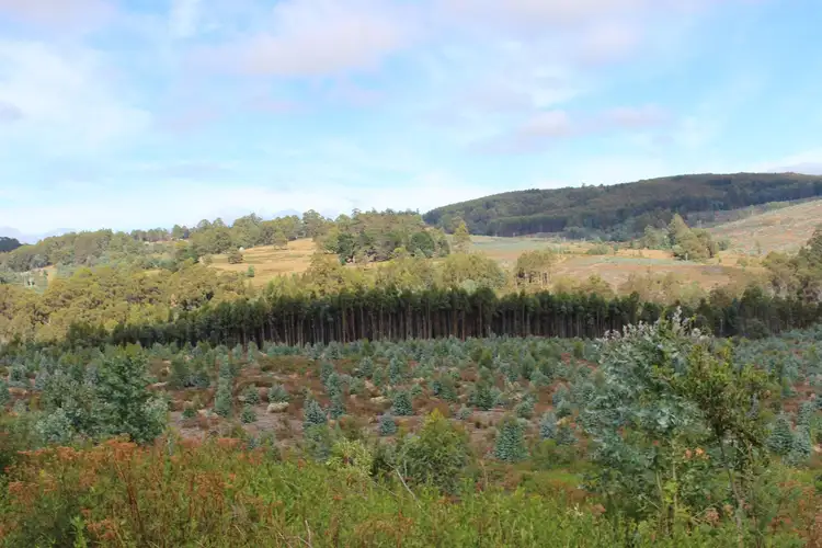 Sixth view of Homely land listing, Lot 1 Harwoods Road, Castle Forbes Bay TAS 7116