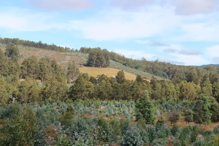 Main view of Homely land listing, Lot 1 Harwoods Road, Castle Forbes Bay TAS 7116