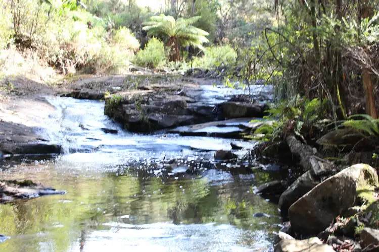 Third view of Homely land listing, Lot 1 Harwoods Road, Castle Forbes Bay TAS 7116