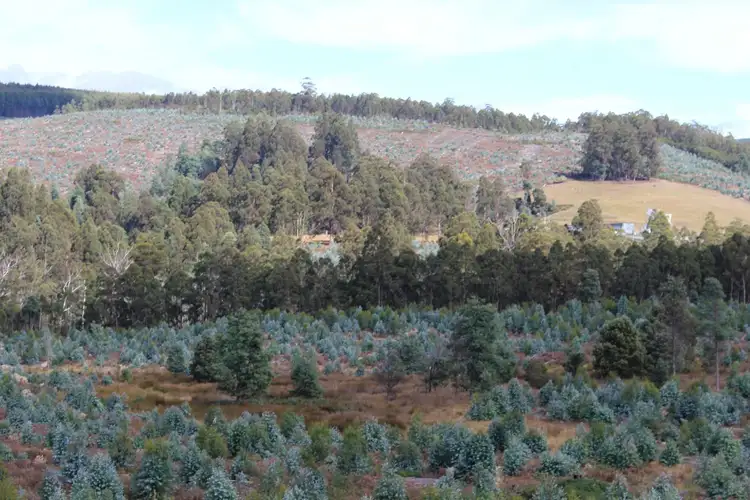 Fourth view of Homely land listing, Lot 1 Harwoods Road, Castle Forbes Bay TAS 7116