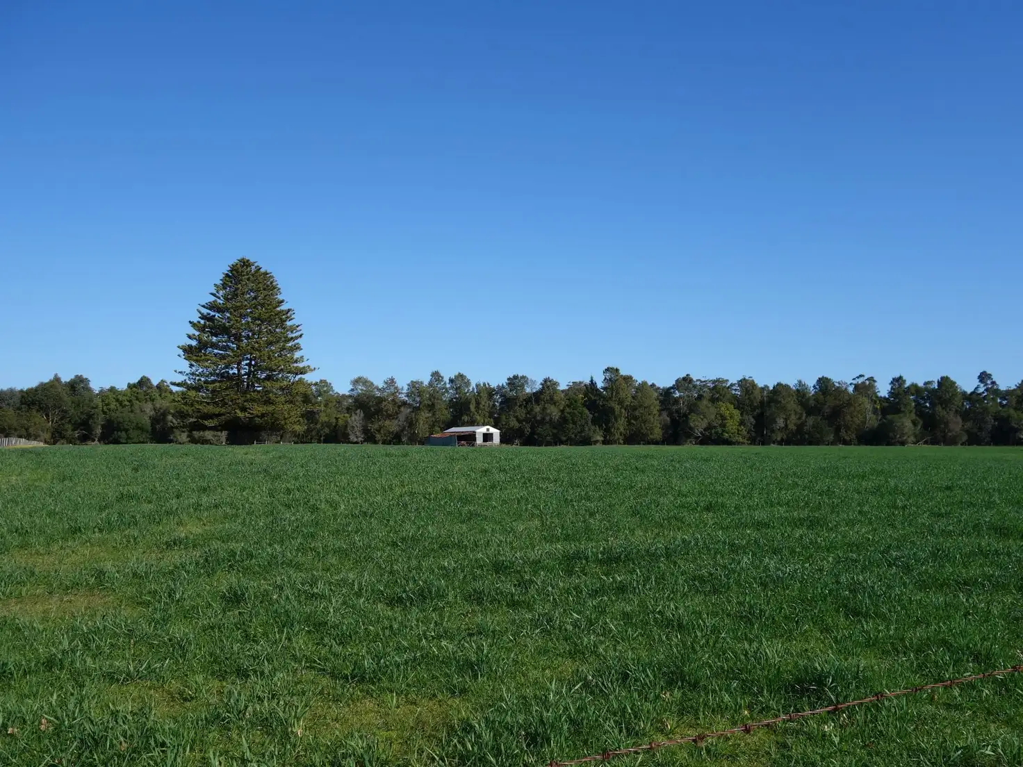 Main view of Homely land listing, Lot 1 Jarrahmond Road, Orbost VIC 3888