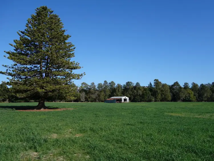 Fifth view of Homely land listing, Lot 1 Jarrahmond Road, Orbost VIC 3888