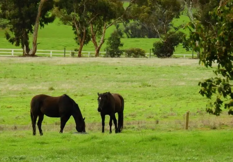 Fifth view of Homely land listing, 198 Banks Road, Boyup Brook WA 6244