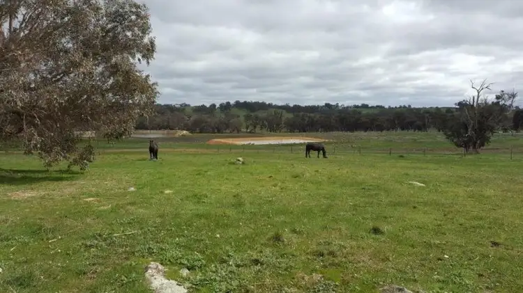 Sixth view of Homely land listing, 198 Banks Road, Boyup Brook WA 6244