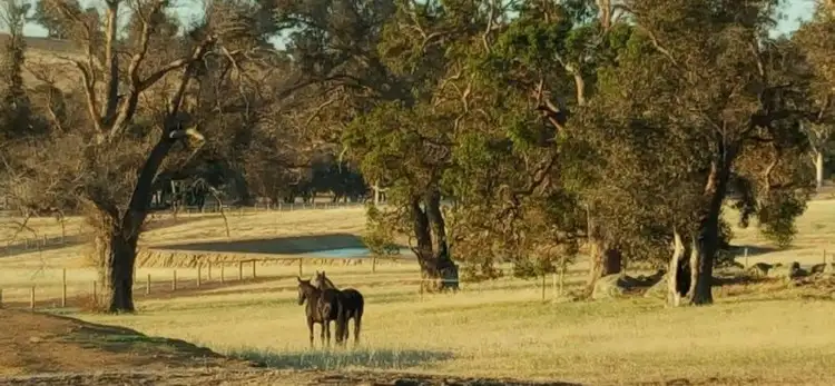 Seventh view of Homely land listing, 198 Banks Road, Boyup Brook WA 6244