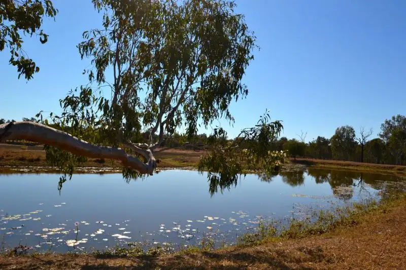Main view of Homely house listing, 532 West Road, Coominya QLD 4311