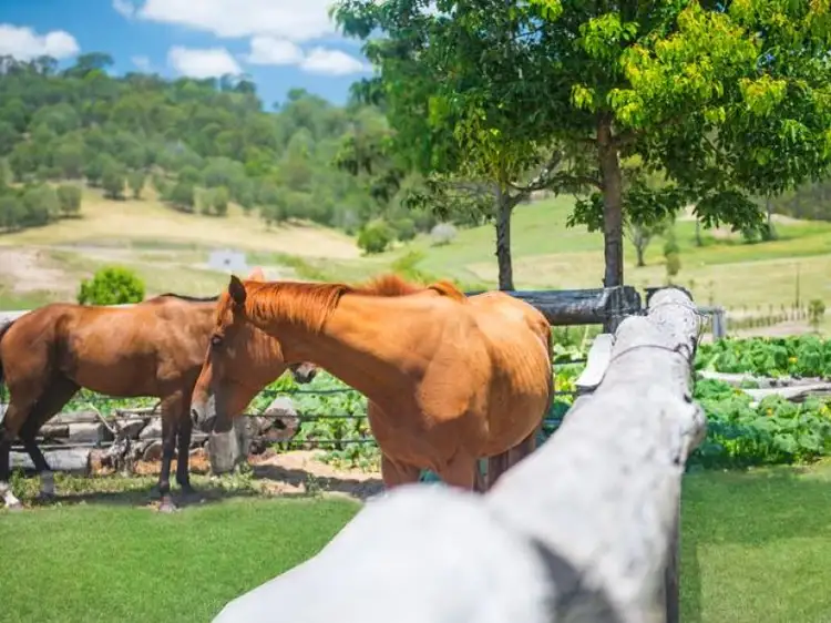 57 Montego Hills Drive, Kingsholme QLD 4208