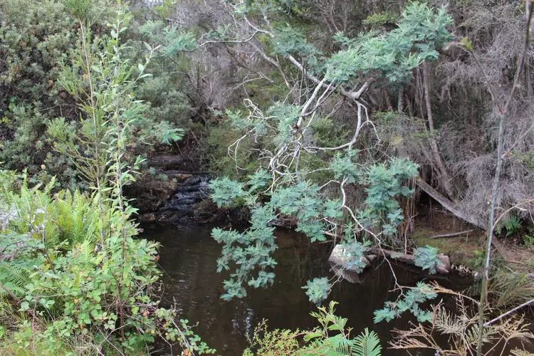 Second view of Homely land listing, LOT 1 & 2 Harwoods Road, Castle Forbes Bay TAS 7116