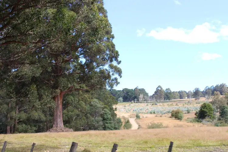 Third view of Homely land listing, LOT 1 & 2 Harwoods Road, Castle Forbes Bay TAS 7116