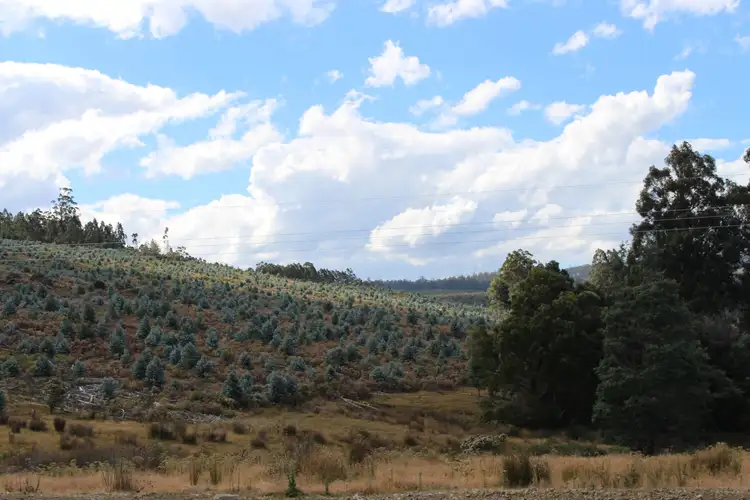 Fifth view of Homely land listing, LOT 1 & 2 Harwoods Road, Castle Forbes Bay TAS 7116