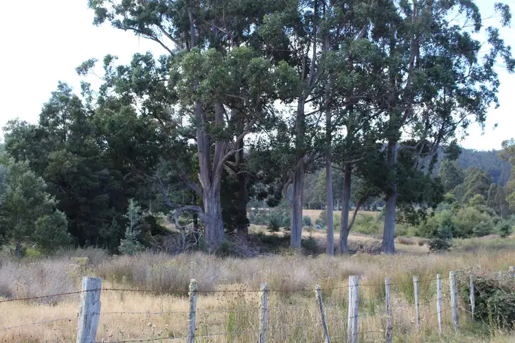 Sixth view of Homely land listing, LOT 1 & 2 Harwoods Road, Castle Forbes Bay TAS 7116