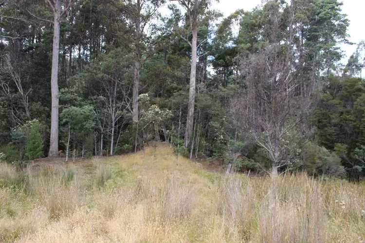 Seventh view of Homely land listing, LOT 1 & 2 Harwoods Road, Castle Forbes Bay TAS 7116