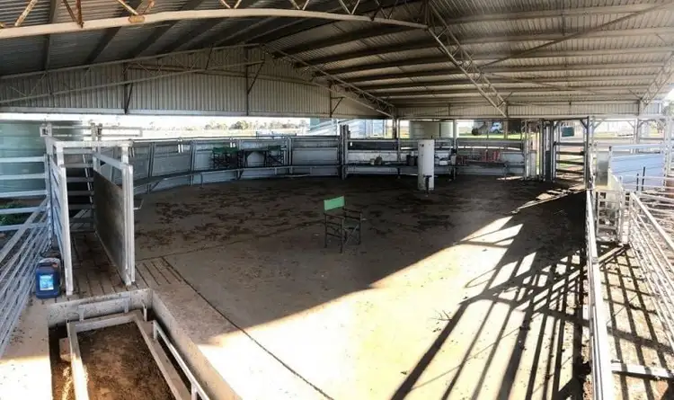 Seventh view of Homely rural property listing, 449 Willawang Road, Warroo NSW 2871