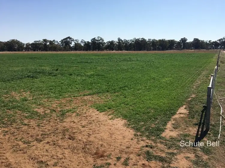 Main view of Homely rural property listing, . Miview, Dubbo NSW 2830