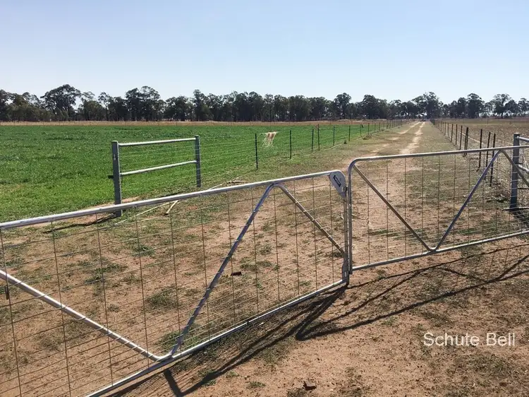 Second view of Homely rural property listing, . Miview, Dubbo NSW 2830