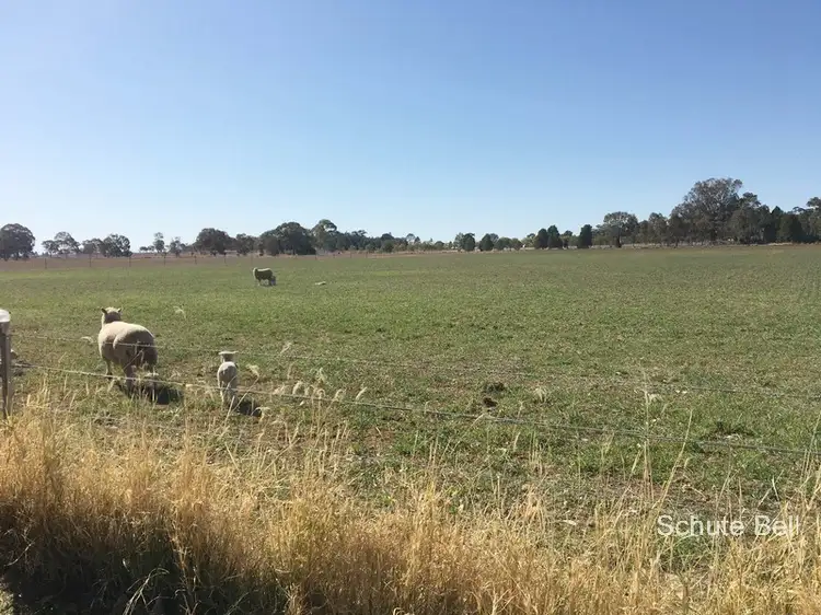 Third view of Homely rural property listing, . Miview, Dubbo NSW 2830