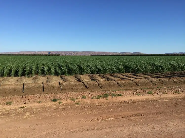 Third view of Homely land listing, Lot 36 Research Station Road, Kununurra WA 6743