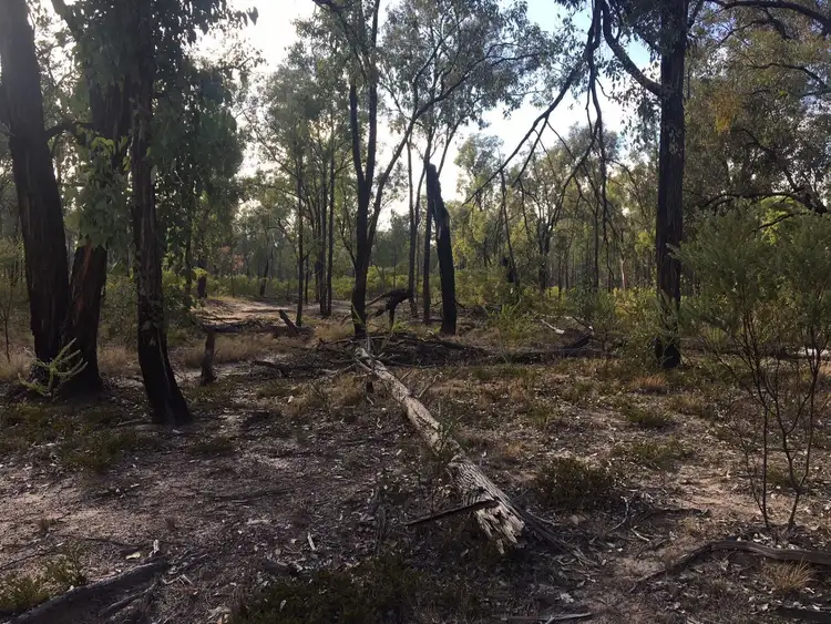 Sixth view of Homely rural property listing, Lot 3 Lot 3 Boort - Koi Rd, Chinchilla QLD 4413