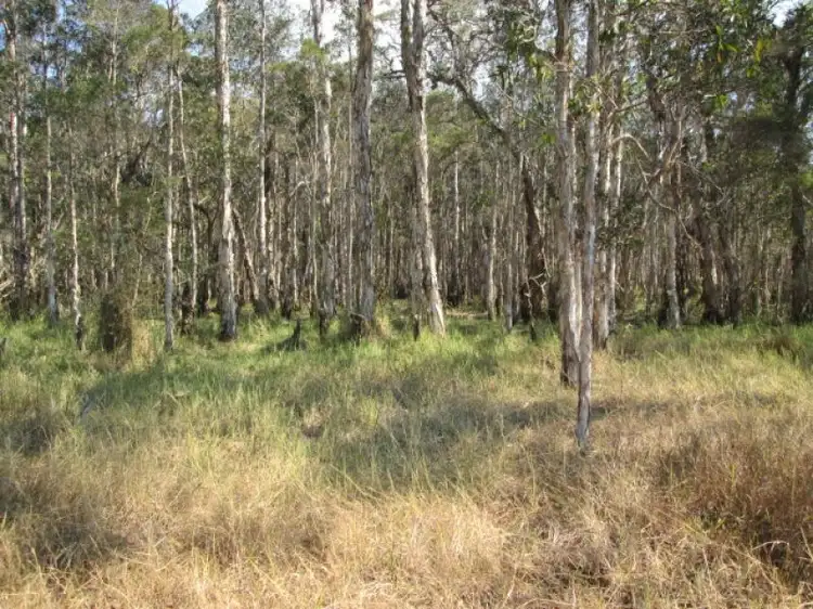 Third view of Homely rural property listing, 2326 Old Tenterfield Rd, Wyan Via, Rappville NSW 2469