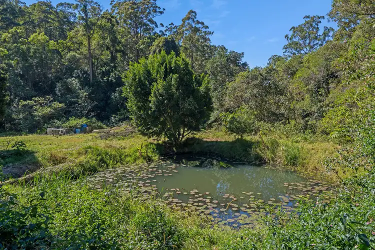 Seventh view of Homely rural property listing, 118 Narrowleaf Rd, Advancetown QLD 4211