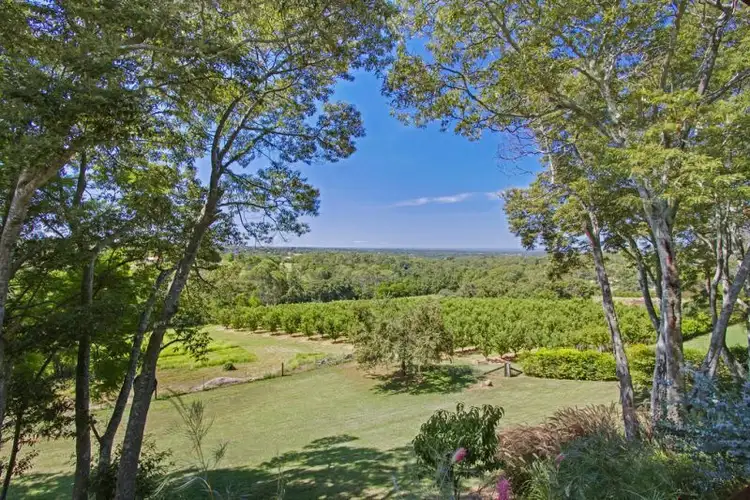 Fifth view of Homely rural property listing, 778 Grose Vale Road, Grose Vale NSW 2753