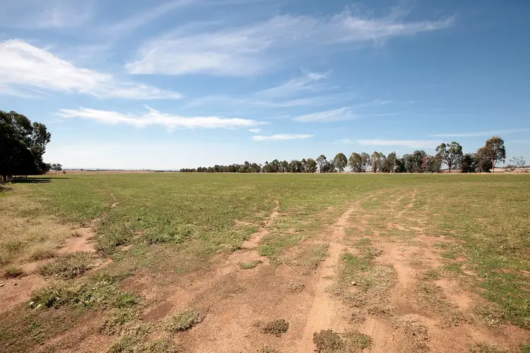 Third view of Homely rural property listing, 1184 Gregadoo East Road, Gregadoo NSW 2650