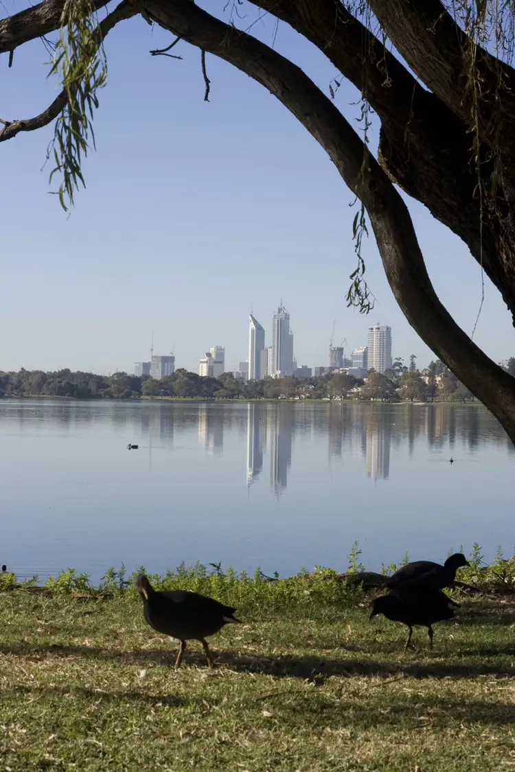 Address available on request