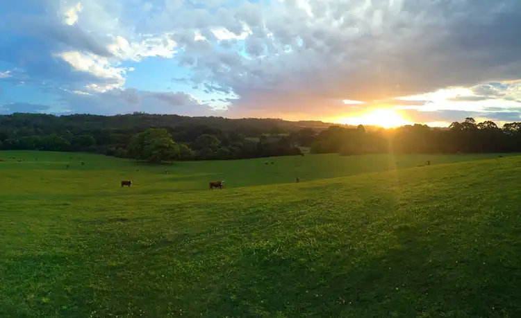 Lot 6 'Cape View' Scenic Vista, Ewingsdale NSW 2481