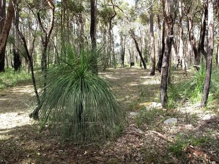 Third view of Homely land listing, 14 Blue Wren Lane, Denmark WA 6333
