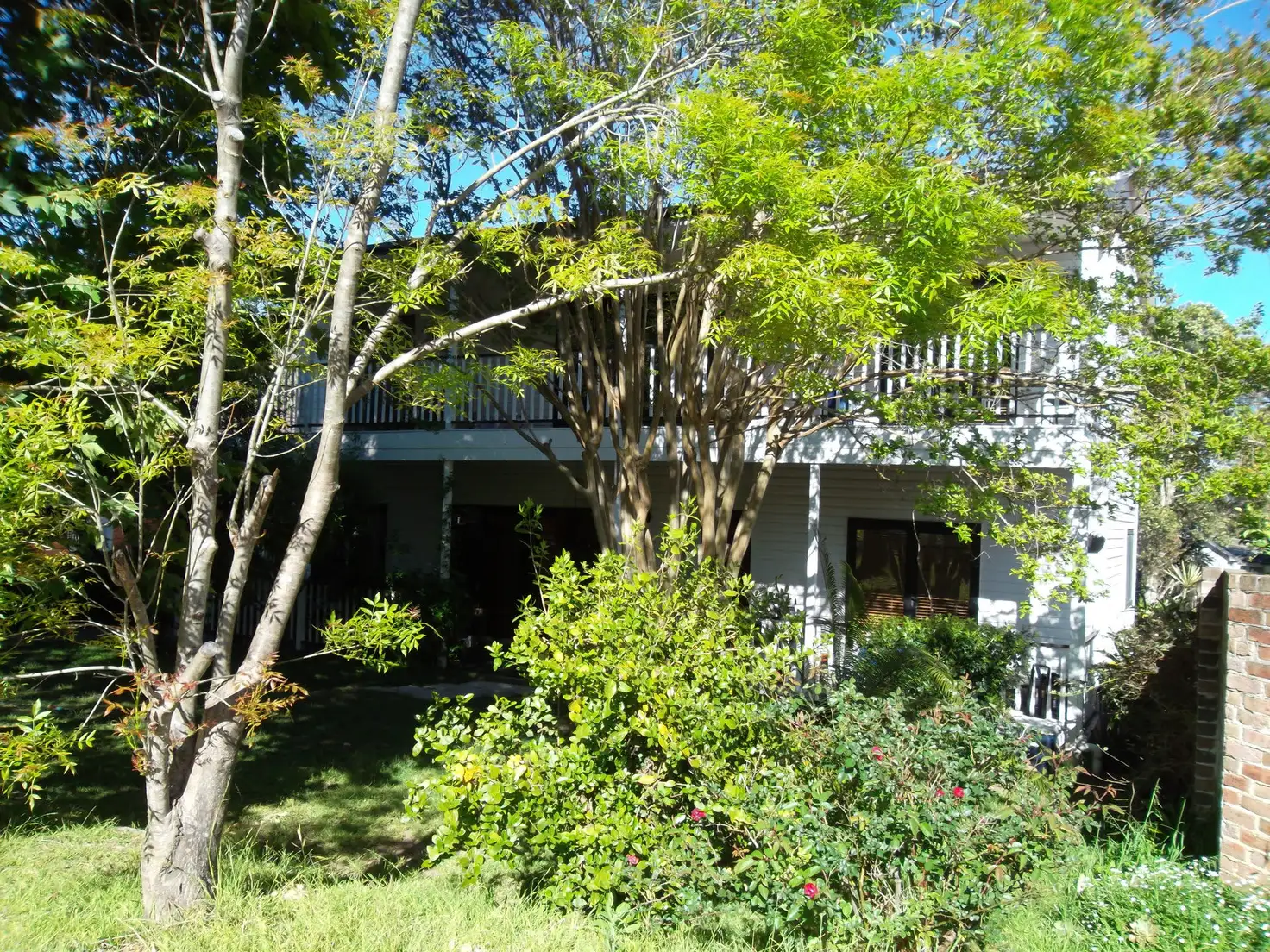 Main view of Homely house listing, 16 David Street, Glenbrook NSW 2773
